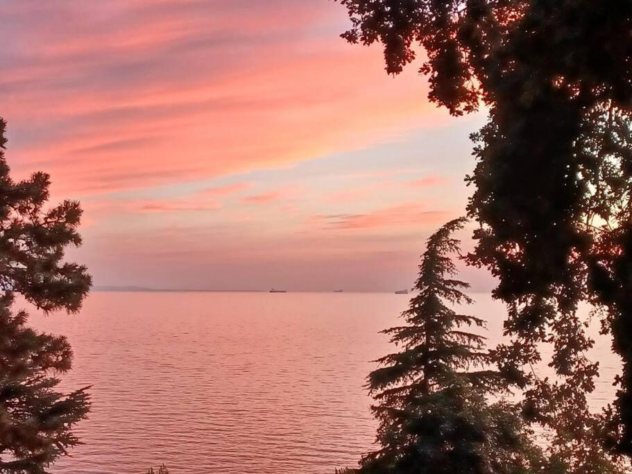 Brezza Marina - Appartamento In Villa Fronte Mare Trieste Luaran gambar