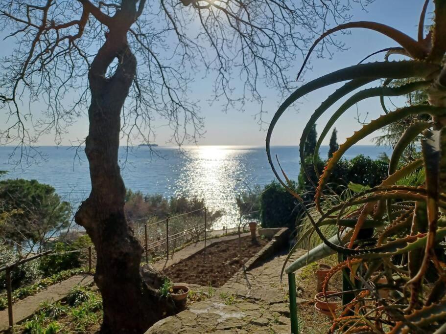 Brezza Marina - Appartamento In Villa Fronte Mare Trieste Luaran gambar