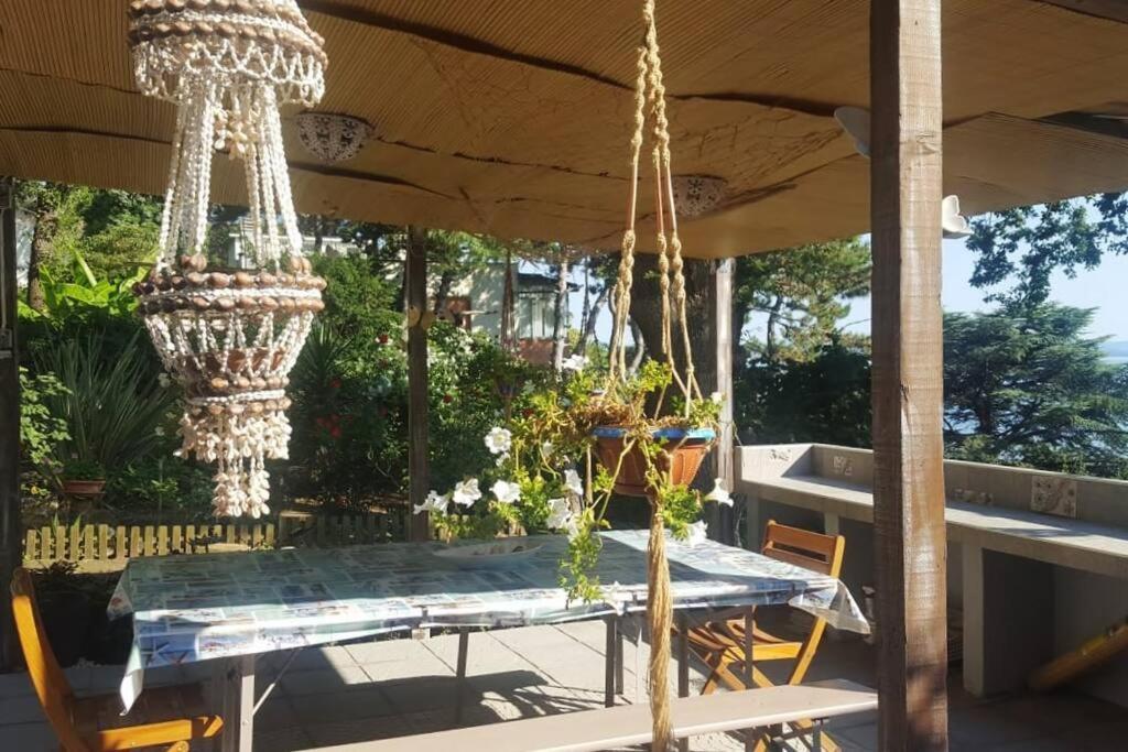 Brezza Marina - Appartamento In Villa Fronte Mare Trieste Luaran gambar